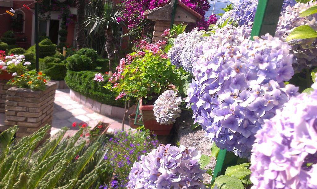 Apartment City Garden Kotor Habitación foto